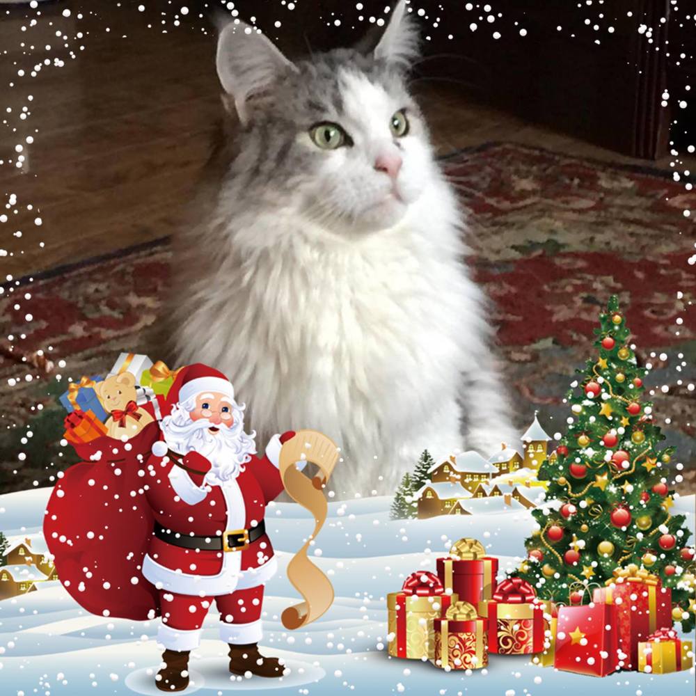 Meet your Posher, Vicky